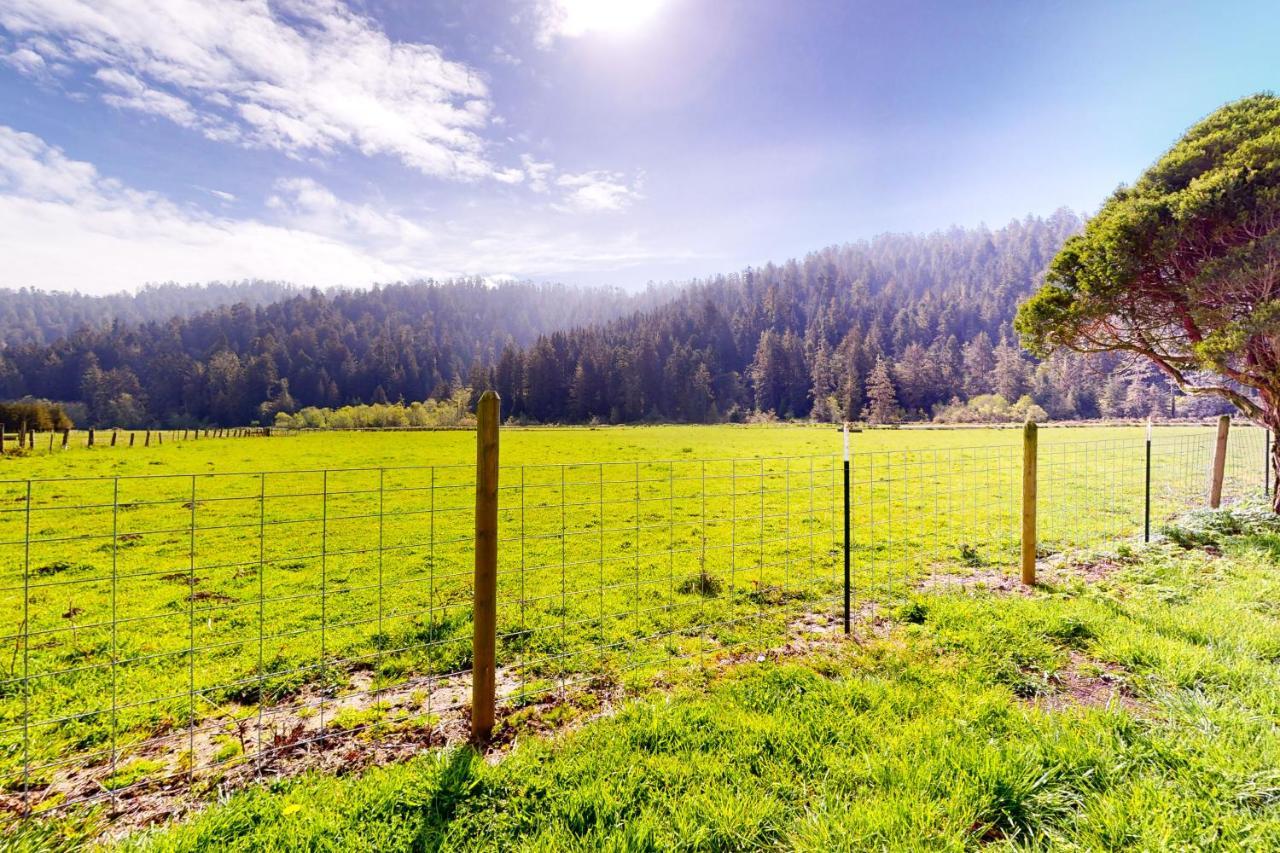 Redwood Farmhouse In The Orick Valley 外观 照片